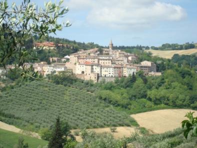 Urbino