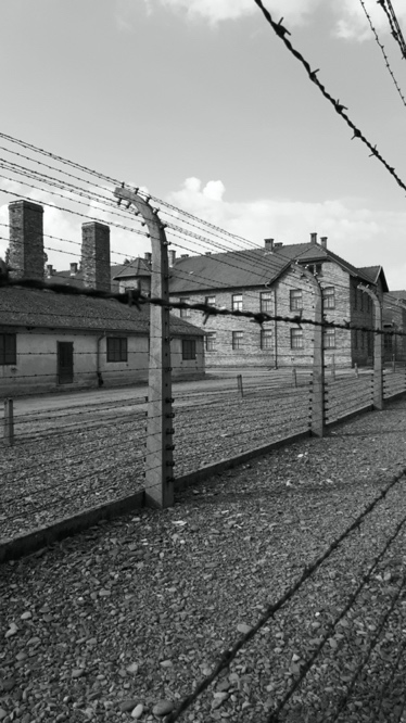 Auschwitz och saltgruvorna