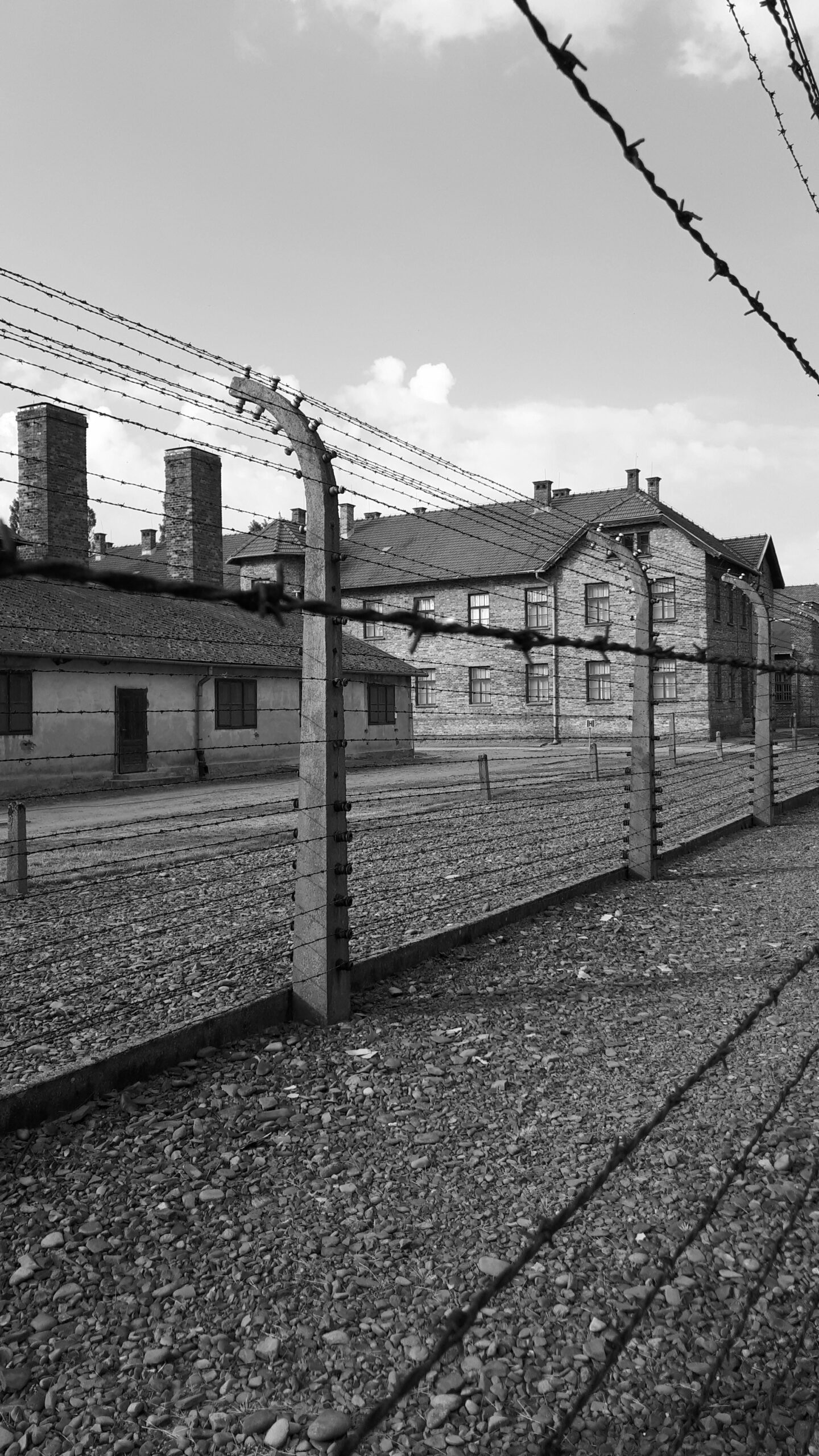 Auschwitz: En guidad resa genom historien