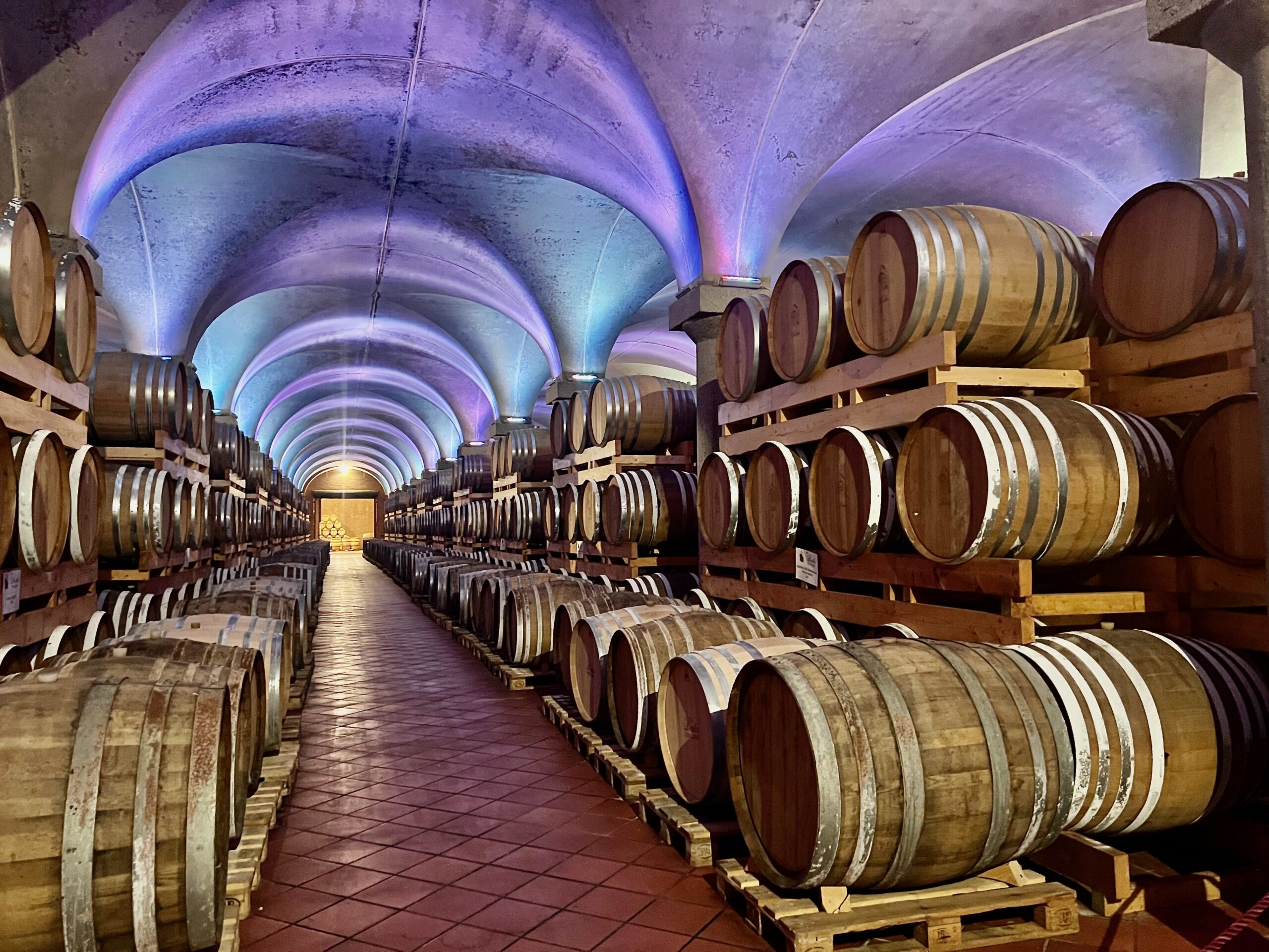Grinzane Cavour, Canelli och grappa-destilleriet Berta