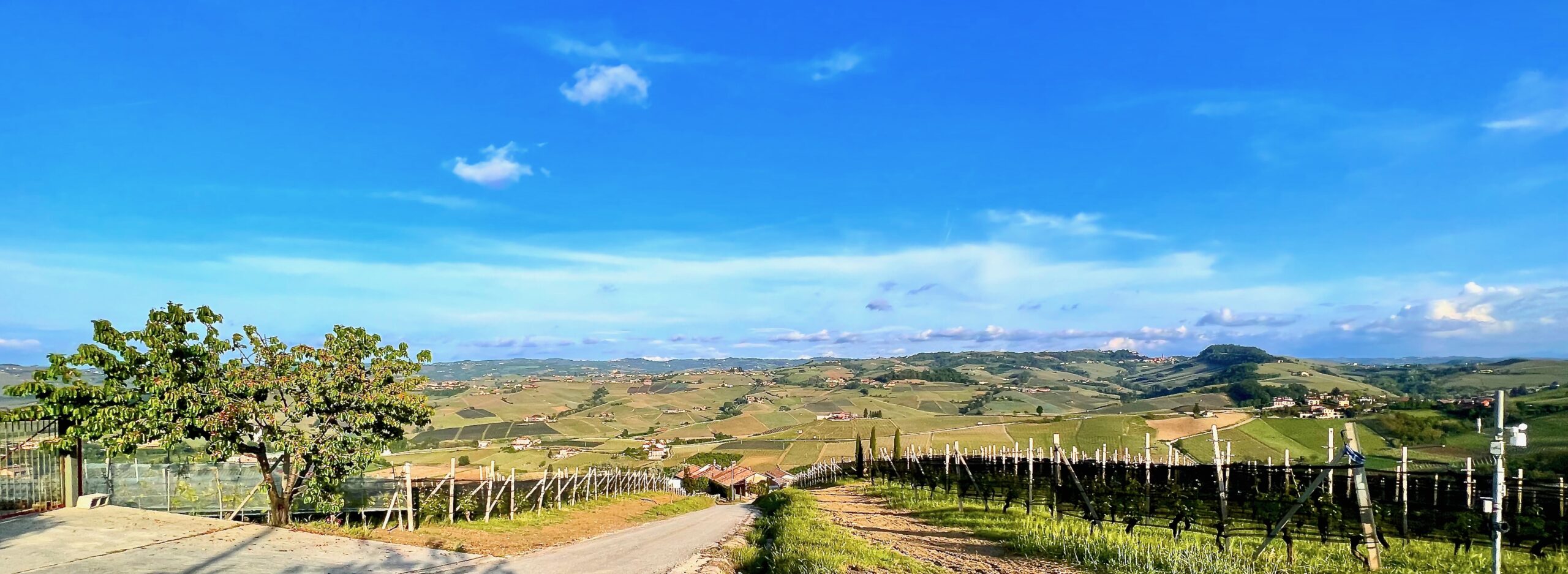 Piemonte, vindistrikt, vingårdar och tryffeljakt