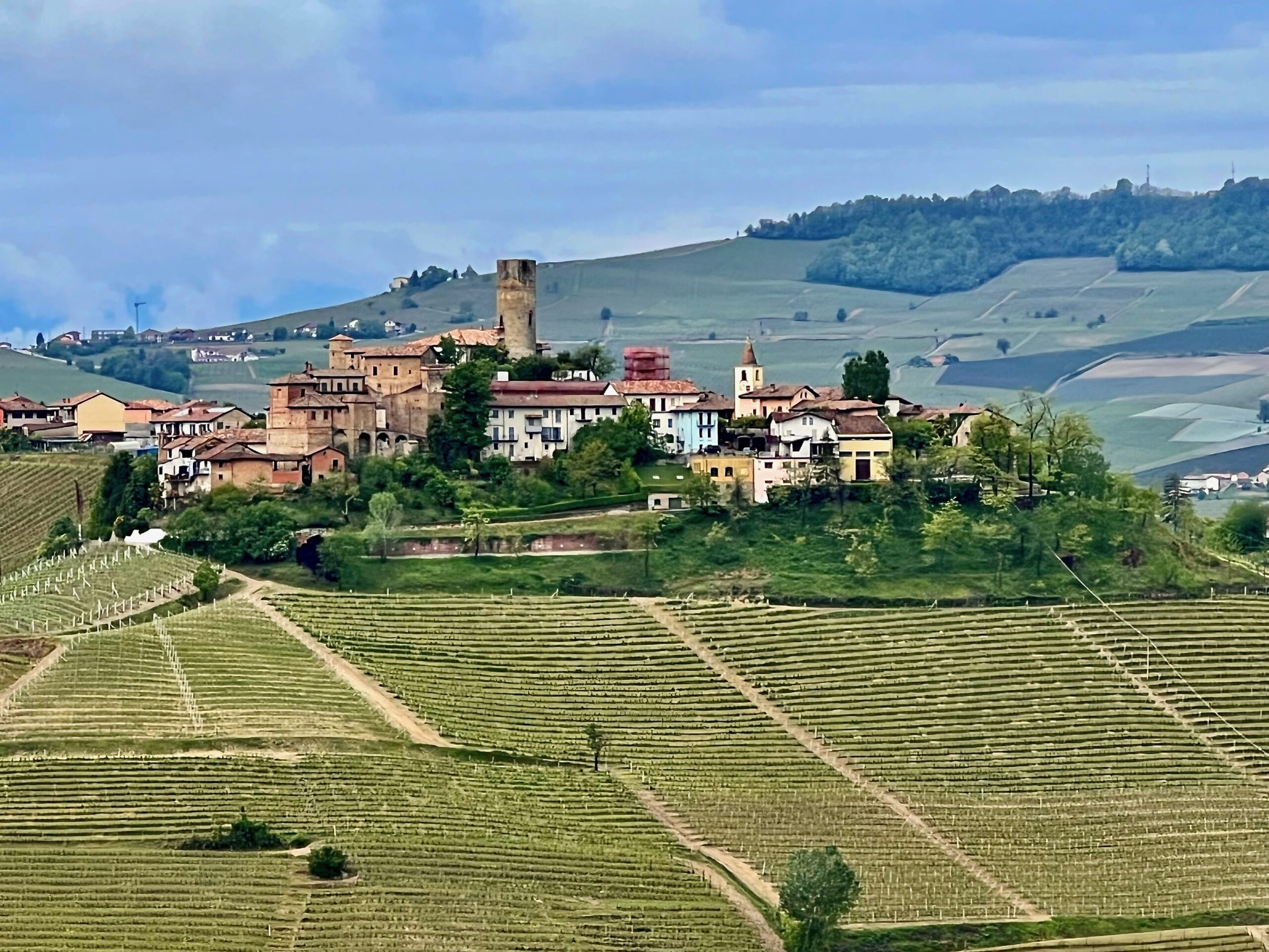 Alba och Barbaresco – vinproducenten Montaribaldi